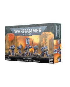 Набір мініатюр Warhammer 40000 Space Marines: Sternguard Veteran Squad