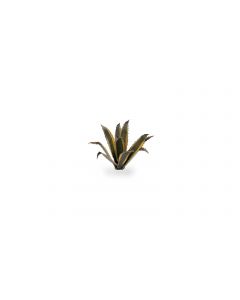 Декоративна рослина Gamers Grass: Agave