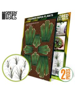 Декоративна рослина Green Stuff World: Colored Paper Plants - Reeds