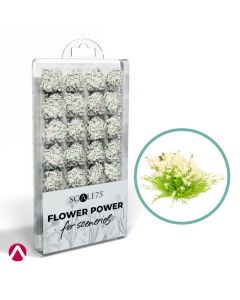 Flower Power White