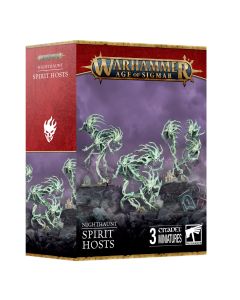 Набір мініатюр Age of Sigmar Nighthaunt: Spirit Hosts