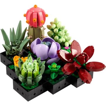 Конструктор LEGO Botanicals Сукуленти (10309)