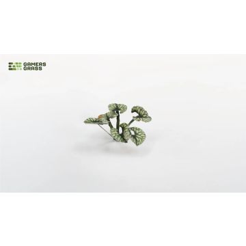 Декоративна рослина Gamers Grass: Bugloss