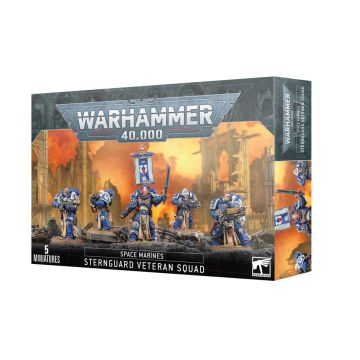 Набір мініатюр Warhammer 40000 Space Marines: Sternguard Veteran Squad