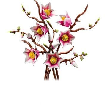 Конструктор LEGO Botanicals Гілки магнолії (11510)
