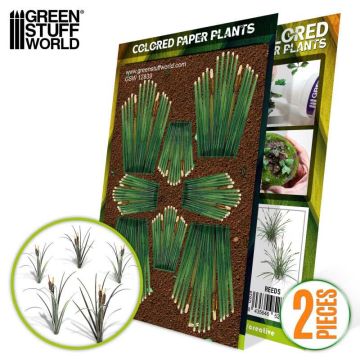 Декоративна рослина Green Stuff World: Colored Paper Plants - Reeds