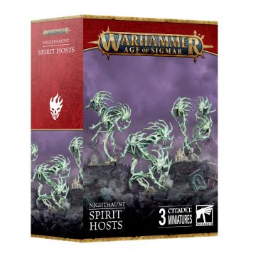 Набір мініатюр Age of Sigmar Nighthaunt: Spirit Hosts